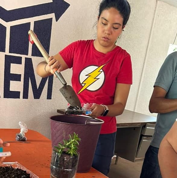 Creación de Huerto Urbano: Cultivo de Hortalizas - Instituto de la Mujer de Cuernavaca