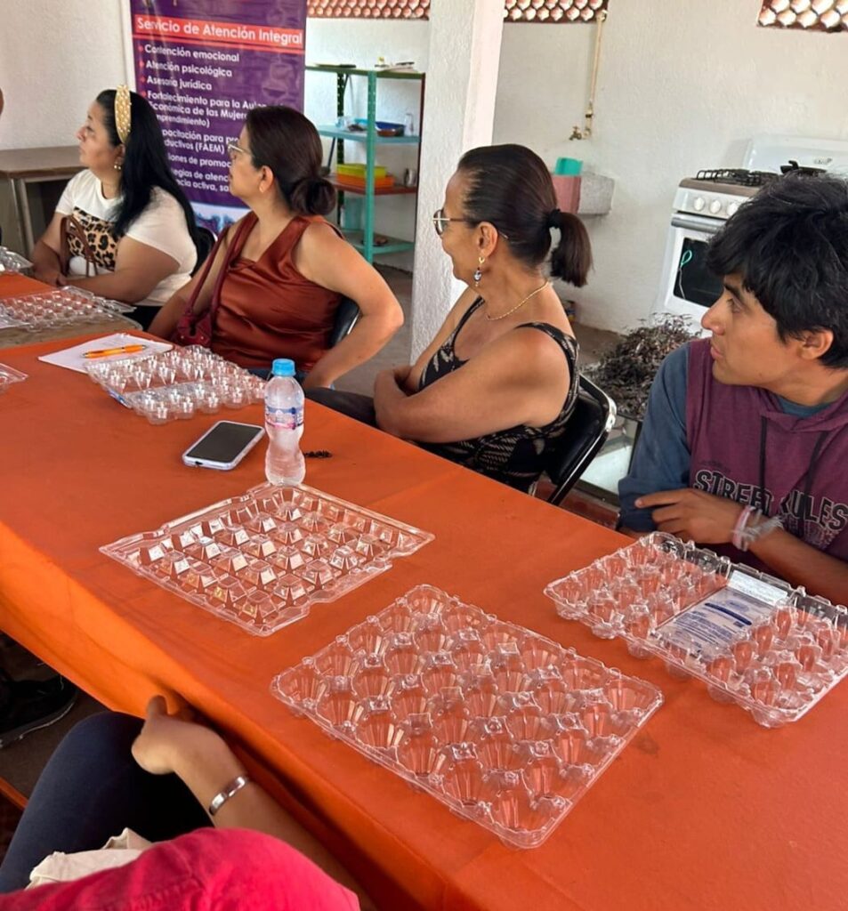 Creación de Huerto Urbano: Cultivo de Hortalizas - Instituto de la Mujer de Cuernavaca