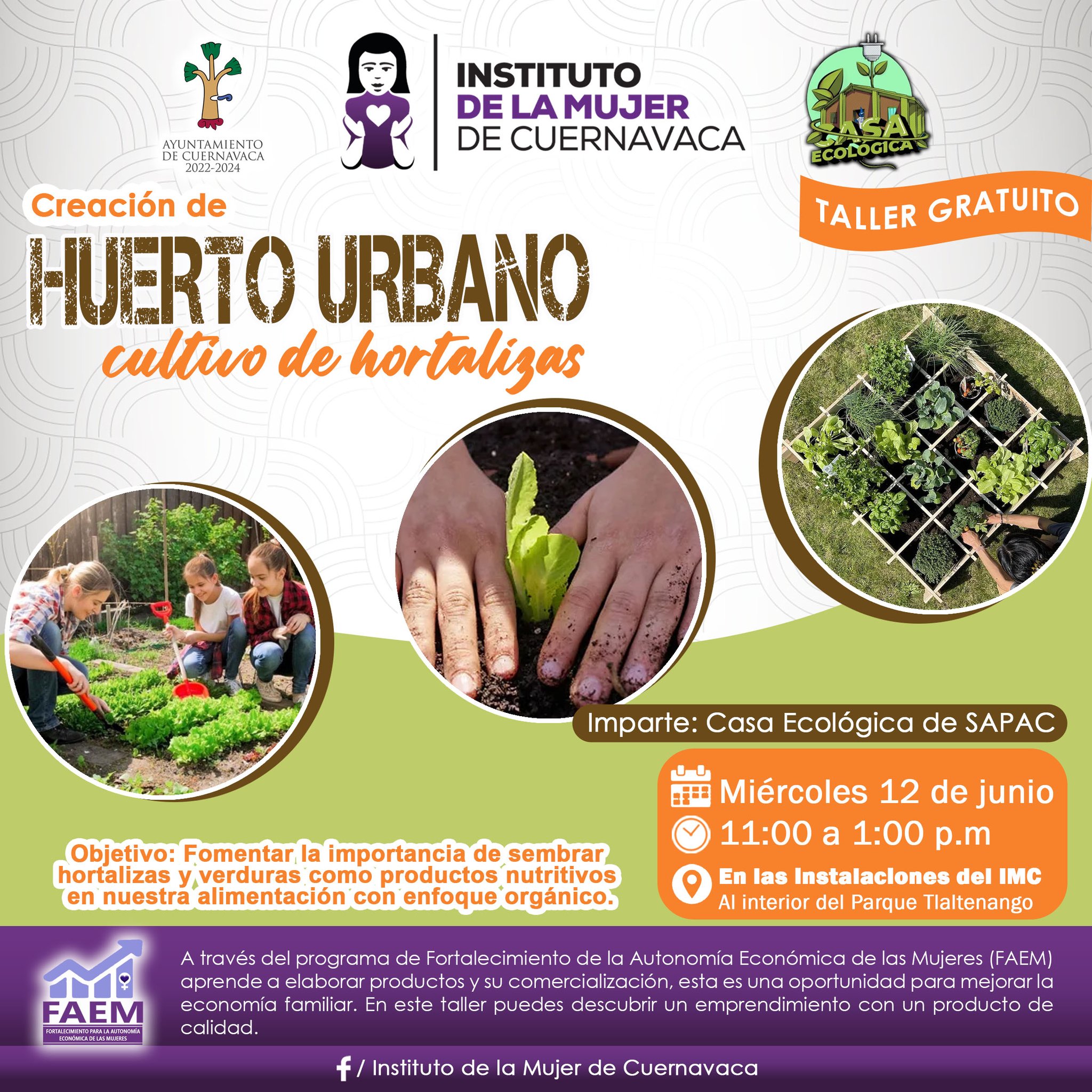 Creación de Huerto Urbano: Cultivo de Hortalizas - Instituto de la Mujer de Cuernavaca