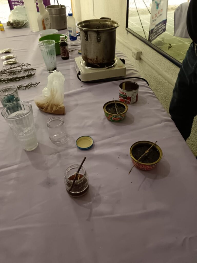 Taller de Velas Aromáticas Repelentes para Mosquitos - Instituto de la Mujer de Cuernavaca