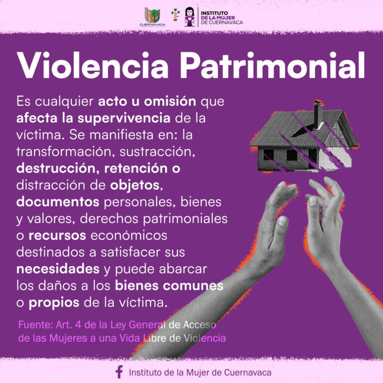 Tipos de violencia -Violencia Patrimonial - Instituto de la Mujer de Cuernavaca