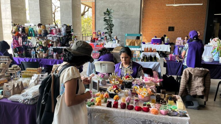 Cooperativa Violeta - UAEM 17 de febrero- 2