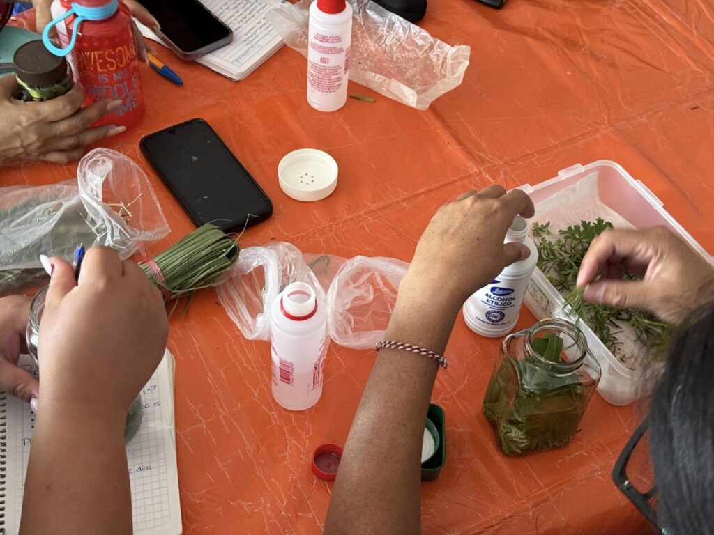 Participantes elaborando repelente natural en taller ecológico organizado por IMC y SAPAC en Cuernavaca.