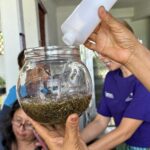 Elaboración de oleato para ansiedad y descanso - mayo - 6