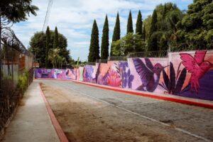 CUERNAVACA-DA-UN-PASO-HISTÓRICO-EN-LA-PREVENCIÓN-DE-LA-VIOLENCIA-DE-GÉNERO-CON-SU-PRIMER-CORREDOR-SEGURO-13